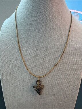 Gold Tone Pendant Necklace with Brown Shark Tooth Charm